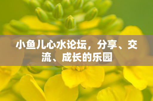 小鱼儿心水论坛,分享、交流、成长的乐园 小鱼儿心水论坛,分享、交流、成长的乐园