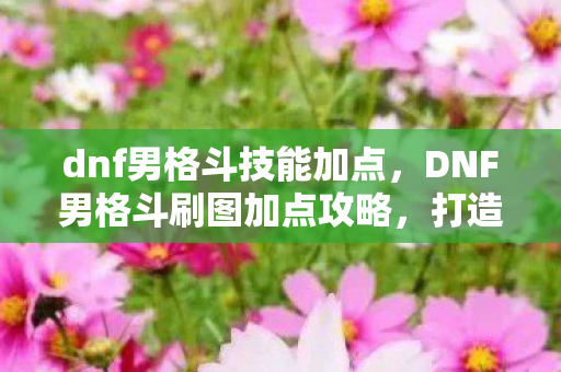 dnf男格斗技能加点,DNF男格斗刷图加点攻略,打造高效战斗力的关键 dnf男格斗技能加点,DNF男格斗刷图加点攻略,打造高效战斗力的关键