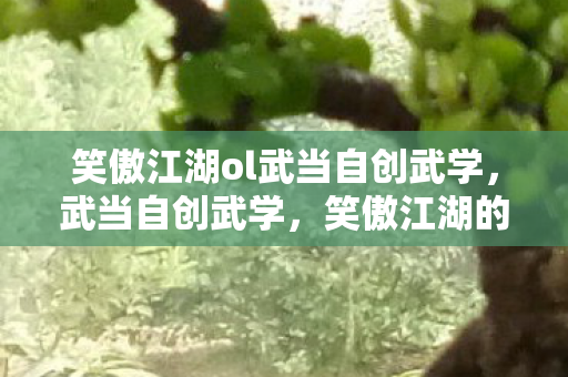 笑傲江湖ol武当自创武学,武当自创武学,笑傲江湖的传奇 笑傲江湖ol武当自创武学,武当自创武学,笑傲江湖的传奇