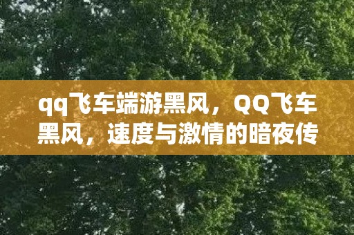 qq飞车端游黑风,QQ飞车黑风,速度与激情的暗夜传说 qq飞车端游黑风,QQ飞车黑风,速度与激情的暗夜传说