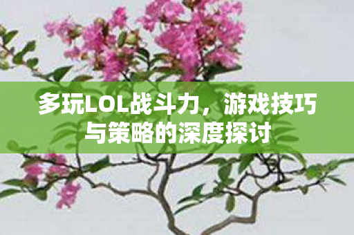 多玩LOL战斗力,游戏技巧与策略的深度探讨 多玩LOL战斗力,游戏技巧与策略的深度探讨