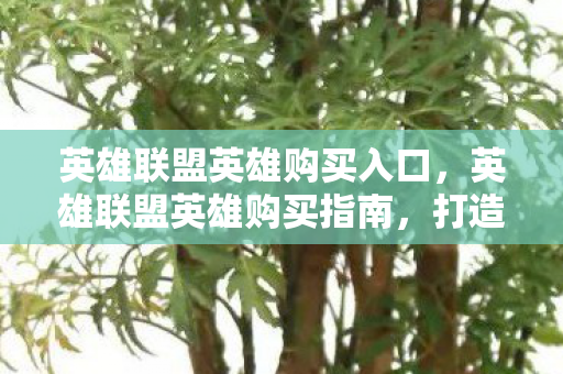 英雄联盟英雄购买入口,英雄联盟英雄购买指南,打造你的专属阵容 英雄联盟英雄购买入口,英雄联盟英雄购买指南,打造你的专属阵容