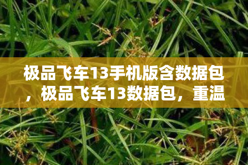 极品飞车13手机版含数据包,极品飞车13数据包,重温经典,解锁速度与激情的极致体验 极品飞车13手机版含数据包,极品飞车13数据包,重温经典,解锁速度与激情的极致体验