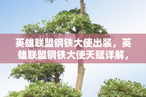 英雄联盟钢铁大使出装,英雄联盟钢铁大使天赋详解,打造坚不可摧的防御体系 英雄联盟钢铁大使出装,英雄联盟钢铁大使天赋详解,打造坚不可摧的防御体系