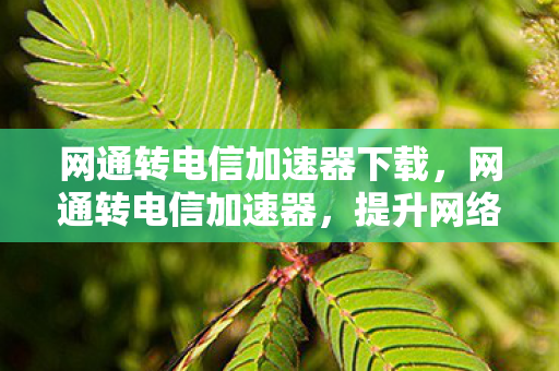 网通转电信加速器下载,网通转电信加速器,提升网络体验的新选择 网通转电信加速器下载,网通转电信加速器,提升网络体验的新选择
