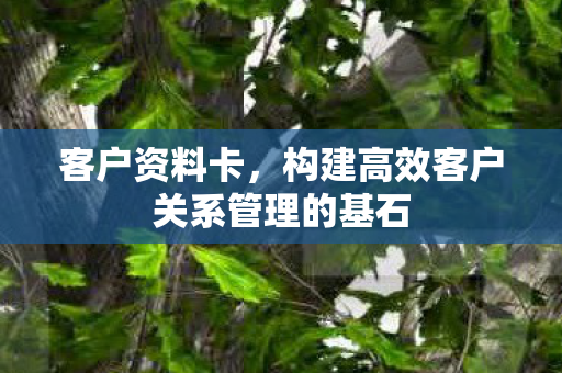 客户资料卡,构建高效客户关系管理的基石 客户资料卡,构建高效客户关系管理的基石
