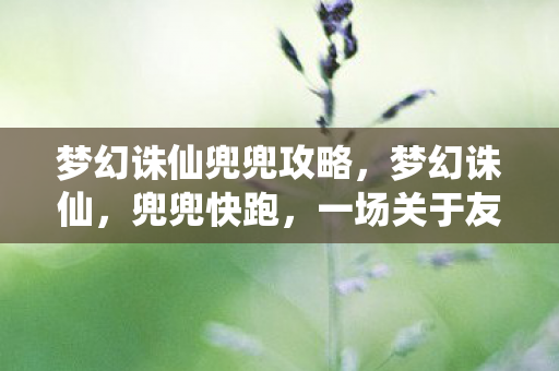 梦幻诛仙兜兜攻略,梦幻诛仙,兜兜快跑,一场关于友情与勇气的冒险 梦幻诛仙兜兜攻略,梦幻诛仙,兜兜快跑,一场关于友情与勇气的冒险