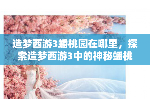 造梦西游3蟠桃园在哪里，探索造梦西游3中的神秘蟠桃园