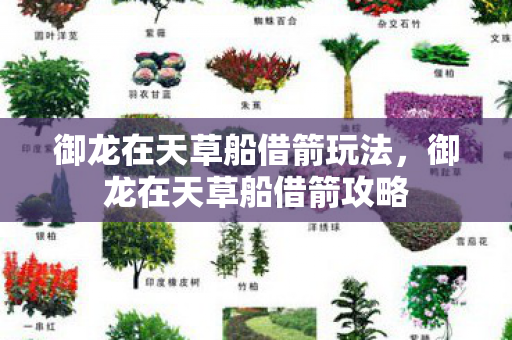 御龙在天草船借箭玩法,御龙在天草船借箭攻略 御龙在天草船借箭玩法,御龙在天草船借箭攻略