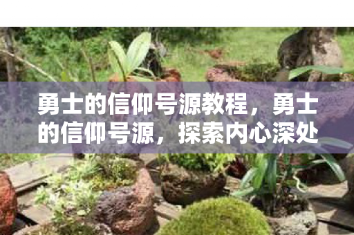 勇士的信仰号源教程,勇士的信仰号源,探索内心深处的力量 勇士的信仰号源教程,勇士的信仰号源,探索内心深处的力量