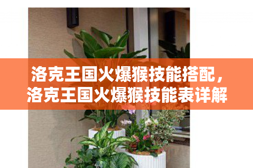 洛克王国火爆猴技能搭配,洛克王国火爆猴技能表详解 洛克王国火爆猴技能搭配,洛克王国火爆猴技能表详解