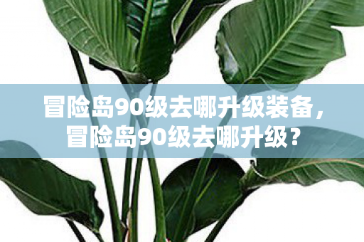 冒险岛90级去哪升级装备,冒险岛90级去哪升级? 冒险岛90级去哪升级装备,冒险岛90级去哪升级?