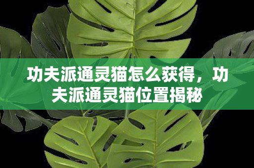 功夫派通灵猫怎么获得,功夫派通灵猫位置揭秘 功夫派通灵猫怎么获得,功夫派通灵猫位置揭秘
