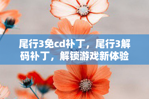 尾行3免cd补丁，尾行3解码补丁，解锁游戏新体验