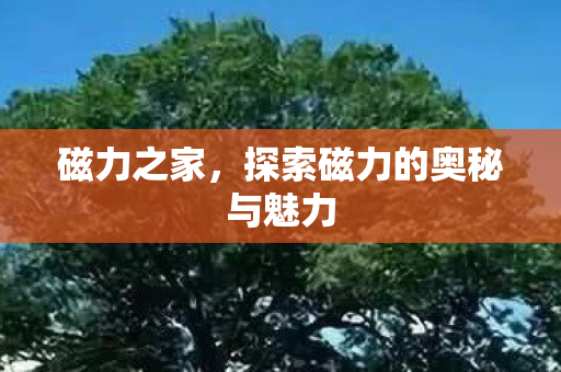 磁力之家,探索磁力的奥秘与魅力 磁力之家,探索磁力的奥秘与魅力