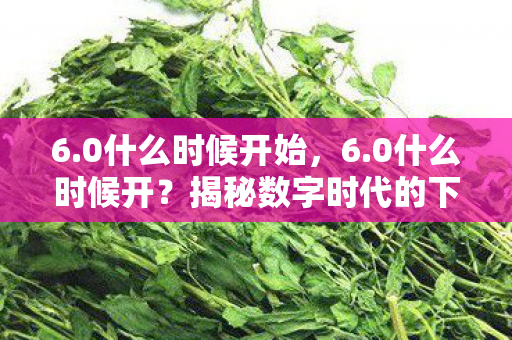 6.0什么时候开始,6.0什么时候开?揭秘数字时代的下一个里程碑 6.0什么时候开始,6.0什么时候开?揭秘数字时代的下一个里程碑
