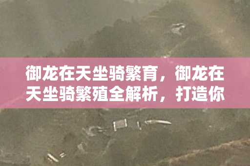 御龙在天坐骑繁育,御龙在天坐骑繁殖全解析,打造你的专属神兽 御龙在天坐骑繁育,御龙在天坐骑繁殖全解析,打造你的专属神兽