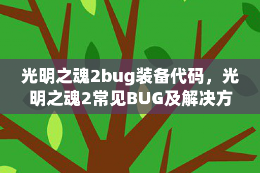 光明之魂2bug装备代码,光明之魂2常见BUG及解决方法 光明之魂2bug装备代码,光明之魂2常见BUG及解决方法
