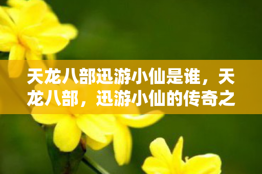 天龙八部迅游小仙是谁,天龙八部,迅游小仙的传奇之旅 天龙八部迅游小仙是谁,天龙八部,迅游小仙的传奇之旅