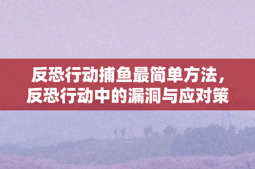 反恐行动捕鱼最简单方法,反恐行动中的漏洞与应对策略 反恐行动捕鱼最简单方法,反恐行动中的漏洞与应对策略