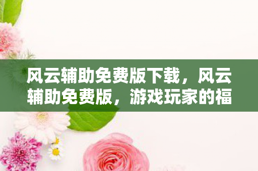 风云辅助免费版下载，风云辅助免费版，游戏玩家的福音