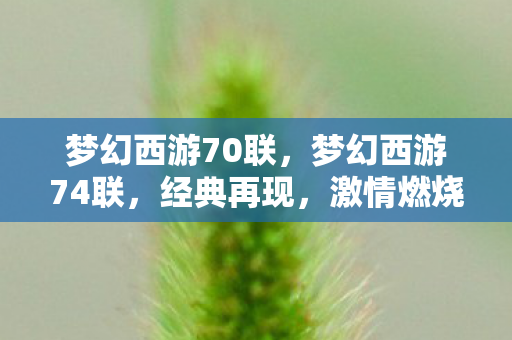 梦幻西游70联，梦幻西游74联，经典再现，激情燃烧