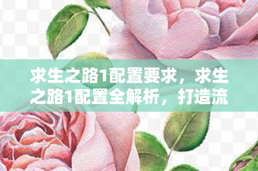 求生之路1配置要求,求生之路1配置全解析,打造流畅游戏体验 求生之路1配置要求,求生之路1配置全解析,打造流畅游戏体验