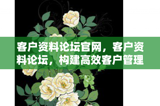 客户资料论坛官网，客户资料论坛，构建高效客户管理的桥梁