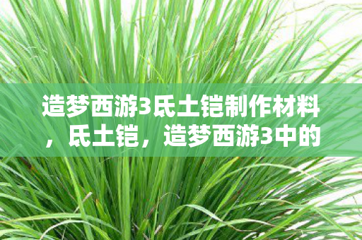造梦西游3氐土铠制作材料,氐土铠,造梦西游3中的神秘铠甲 造梦西游3氐土铠制作材料,氐土铠,造梦西游3中的神秘铠甲