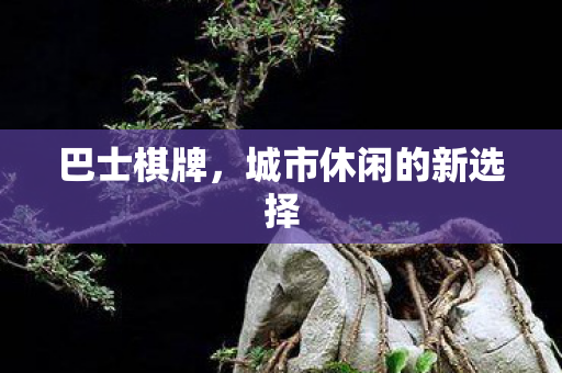 巴士棋牌,城市休闲的新选择 巴士棋牌,城市休闲的新选择