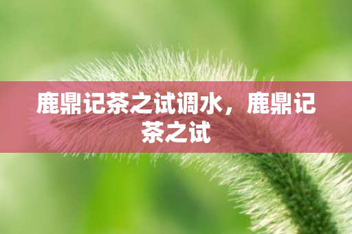 鹿鼎记茶之试调水,鹿鼎记茶之试 鹿鼎记茶之试调水,鹿鼎记茶之试