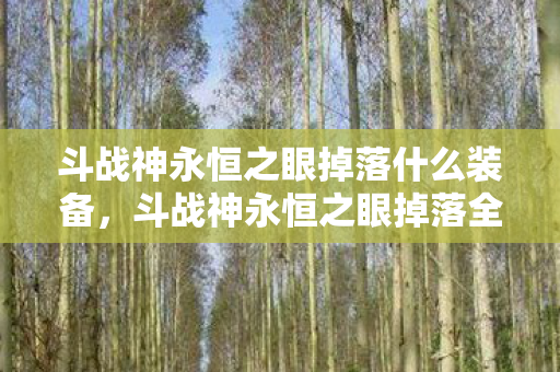 斗战神永恒之眼掉落什么装备，斗战神永恒之眼掉落全解析