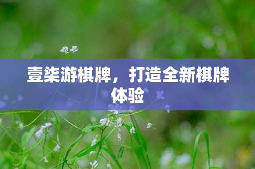 壹柒游棋牌,打造全新棋牌体验 壹柒游棋牌,打造全新棋牌体验