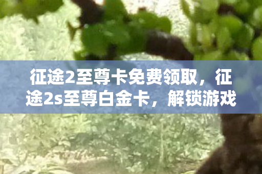 征途2至尊卡免费领取,征途2s至尊白金卡,解锁游戏新境界的钥匙 征途2至尊卡免费领取,征途2s至尊白金卡,解锁游戏新境界的钥匙