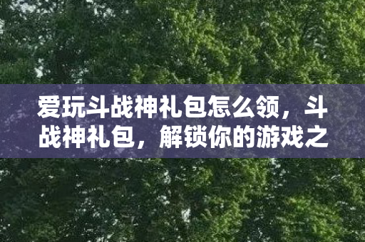 爱玩斗战神礼包怎么领，斗战神礼包，解锁你的游戏之旅