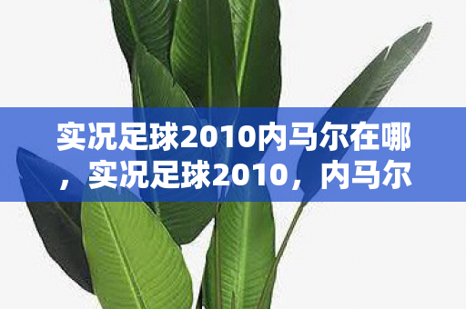 实况足球2010内马尔在哪,实况足球2010,内马尔的崛起与传奇之路 实况足球2010内马尔在哪,实况足球2010,内马尔的崛起与传奇之路