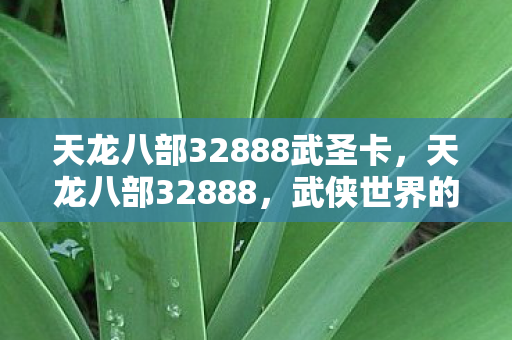 天龙八部32888武圣卡,天龙八部32888,武侠世界的数字密码 天龙八部32888武圣卡,天龙八部32888,武侠世界的数字密码