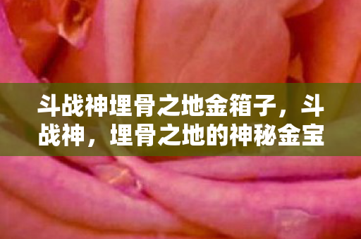 斗战神埋骨之地金箱子,斗战神,埋骨之地的神秘金宝箱 斗战神埋骨之地金箱子,斗战神,埋骨之地的神秘金宝箱