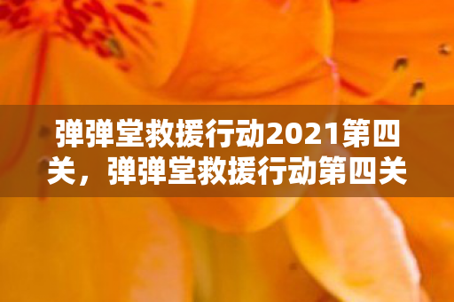 弹弹堂救援行动2021第四关,弹弹堂救援行动第四关攻略,突破难关,拯救伙伴! 弹弹堂救援行动2021第四关,弹弹堂救援行动第四关攻略,突破难关,拯救伙伴!