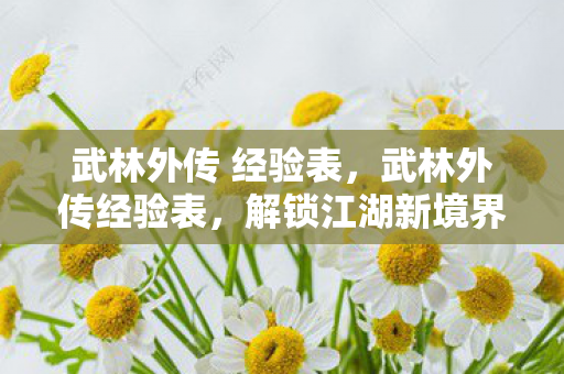 武林外传 经验表,武林外传经验表,解锁江湖新境界 武林外传 经验表,武林外传经验表,解锁江湖新境界