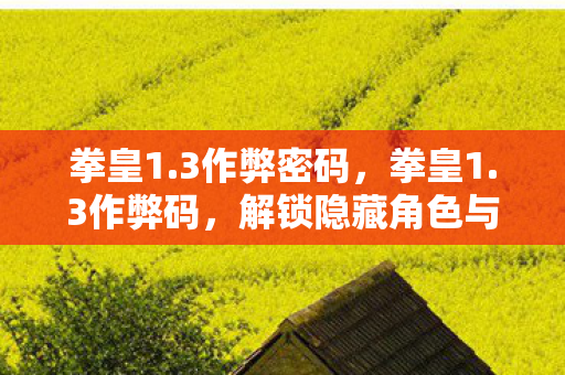 拳皇1.3作弊密码，拳皇1.3作弊码，解锁隐藏角色与无限技能