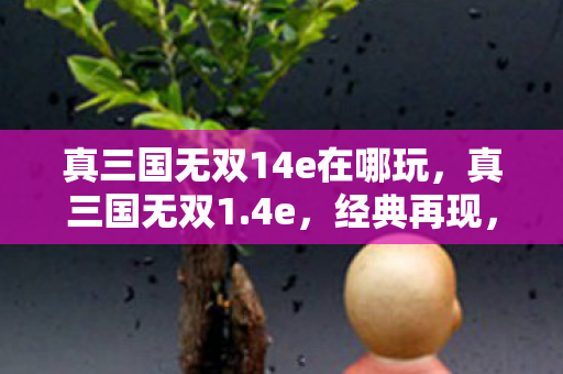 真三国无双14e在哪玩,真三国无双1.4e,经典再现,重温那段热血沸腾的战场岁月 真三国无双14e在哪玩,真三国无双1.4e,经典再现,重温那段热血沸腾的战场岁月