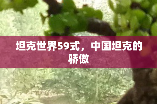 坦克世界59式，中国坦克的骄傲