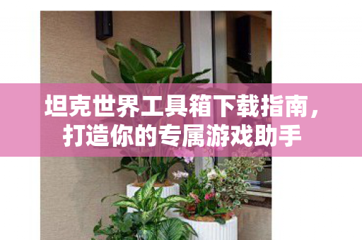 坦克世界工具箱下载指南,打造你的专属游戏助手 坦克世界工具箱下载指南,打造你的专属游戏助手