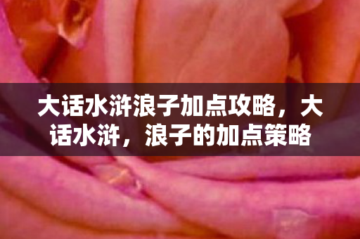 大话水浒浪子加点攻略,大话水浒,浪子的加点策略 大话水浒浪子加点攻略,大话水浒,浪子的加点策略