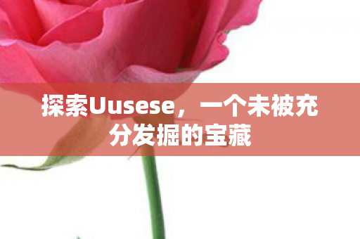 探索Uusese,一个未被充分发掘的宝藏 探索Uusese,一个未被充分发掘的宝藏