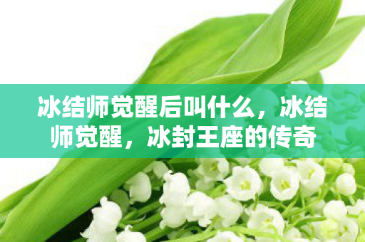 冰结师觉醒后叫什么,冰结师觉醒,冰封王座的传奇 冰结师觉醒后叫什么,冰结师觉醒,冰封王座的传奇
