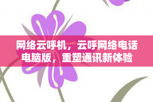 网络云呼机，云呼网络电话电脑版，重塑通讯新体验