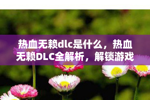 热血无赖dlc是什么，热血无赖DLC全解析，解锁游戏新世界的钥匙