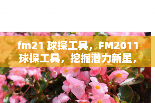 fm21 球探工具,FM2011球探工具,挖掘潜力新星,打造梦幻阵容 fm21 球探工具,FM2011球探工具,挖掘潜力新星,打造梦幻阵容